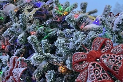    Елка © Пресс-служба Главного управления содержания территорий Московской области