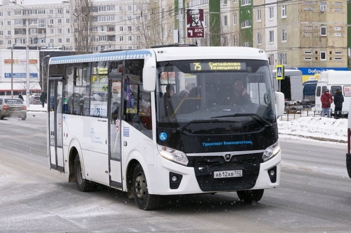 В Уфе маршрут № 75 с 1 января сократят по длине и количеству автобусов |  АиФ – Уфа | Дзен