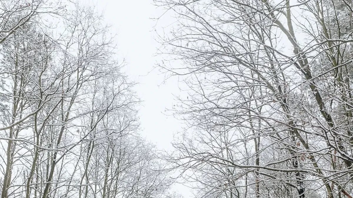 В Сочельник люди гадают. Фото: www.piqsels.com