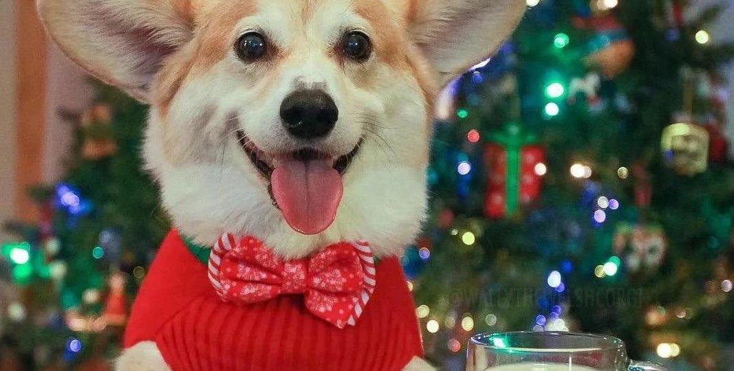 К хорошим новостям: Понедельника в этом году больше не будет!