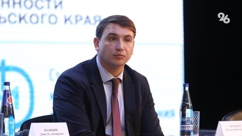 Министр экономического развития Ставрополья Денис Полюбин
Фото: ИА «Победа26»