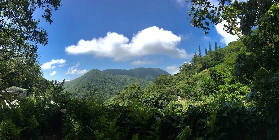 Природный ландшафт фермы и ботанического сада Кадури в Гонконге.  (iStock)