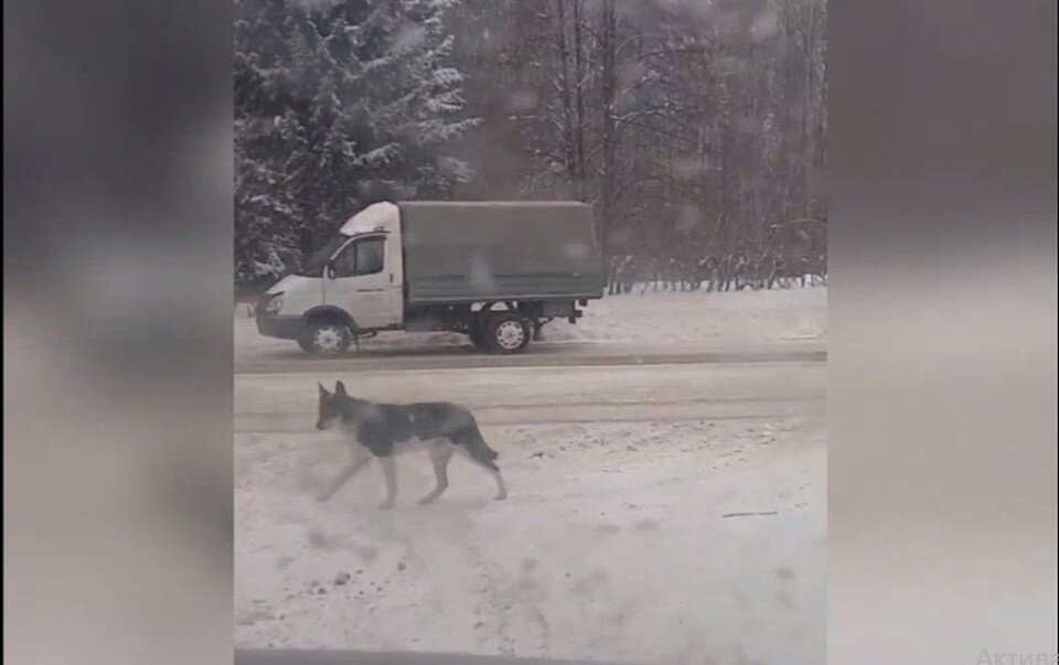     Фото: Регион 70 Томск