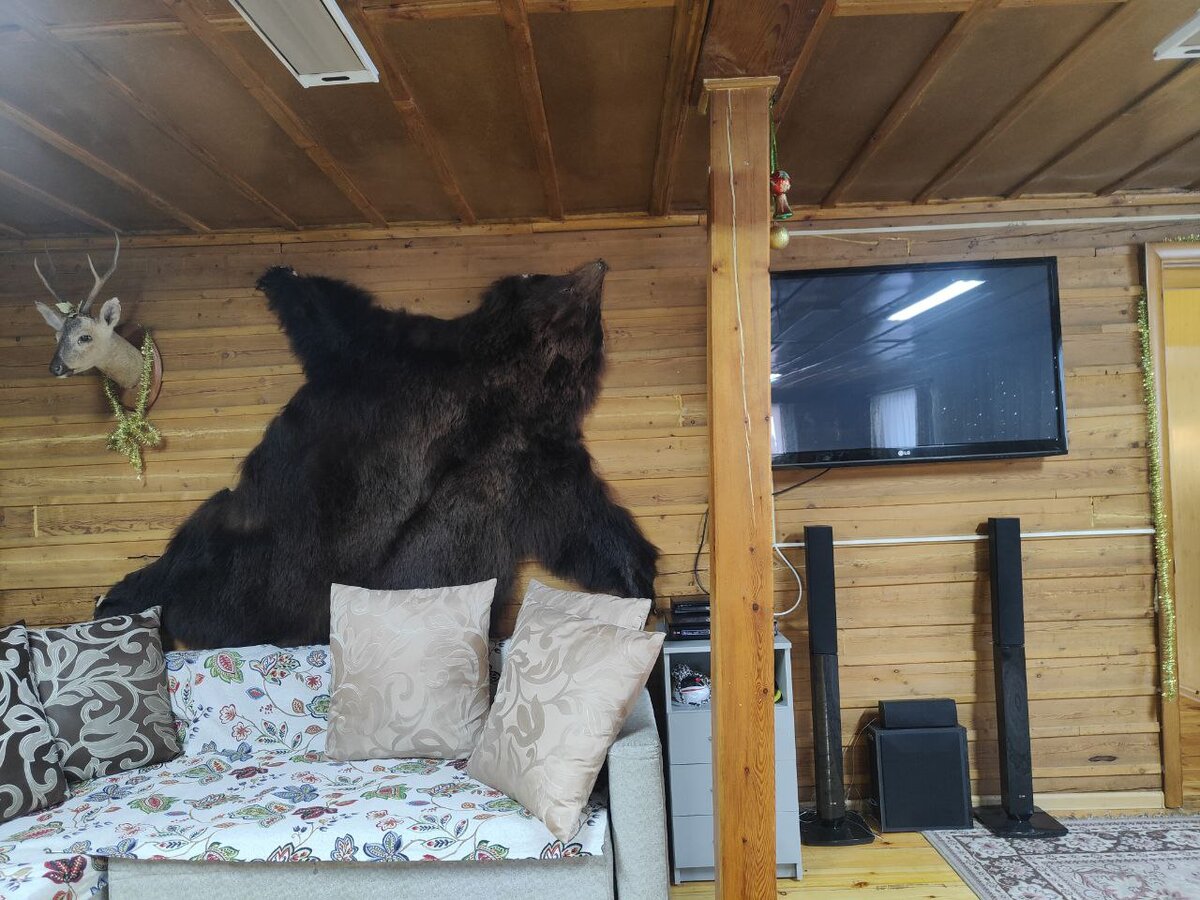 Сказочное место под Тюменью: новая база отдыха «Лесная сказка Сибири» |  Visit Tyumen | Дзен