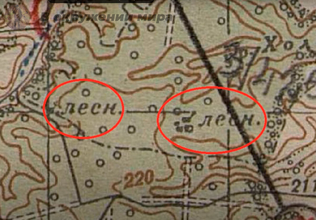 Условное обозначение дома лесника на старых картах. История лесничества в  России | В окружении мира | Дзен