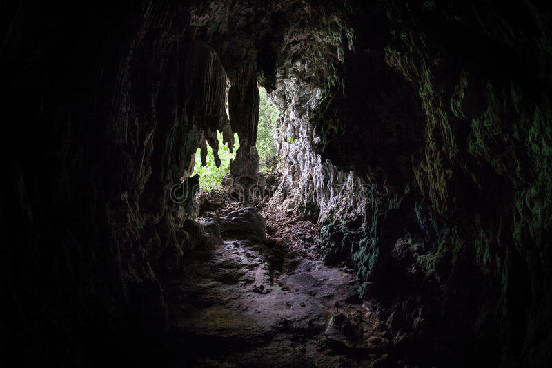 Фото из интернета.