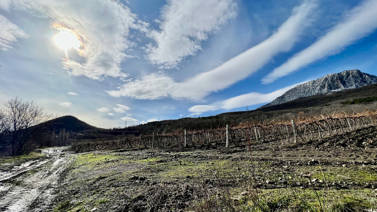 Солнце, Малый Ай-Тодор, виноградник Массандры, Парагильмен и… глина. Кстати, о глине в другой ипостаси  будет ещё позже. Как у Чехова про ружьё на стене, которое выстрелит. 