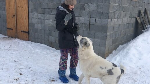 Усадьба белая лошадь последнее видео