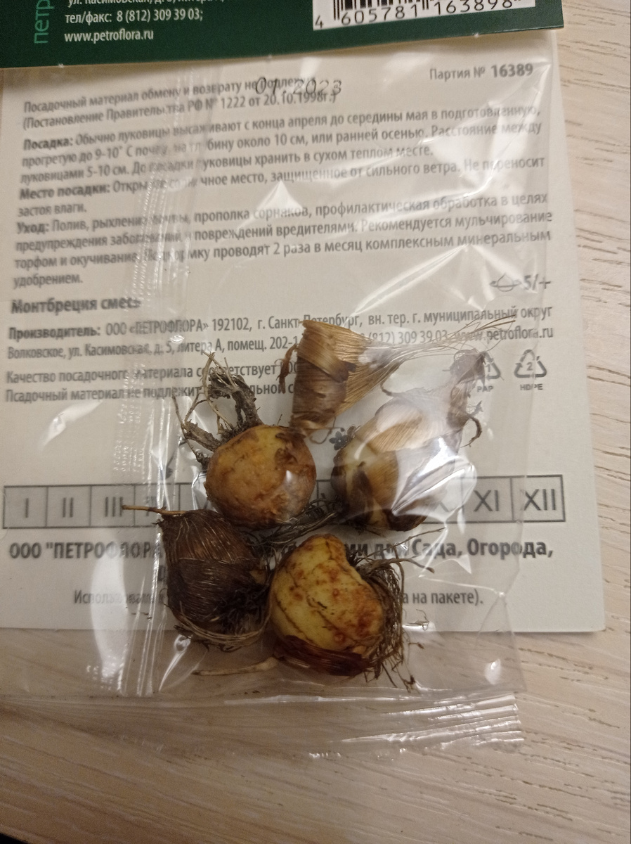 Луковицы монтбреции