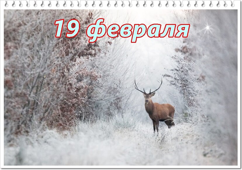 19 февраля день