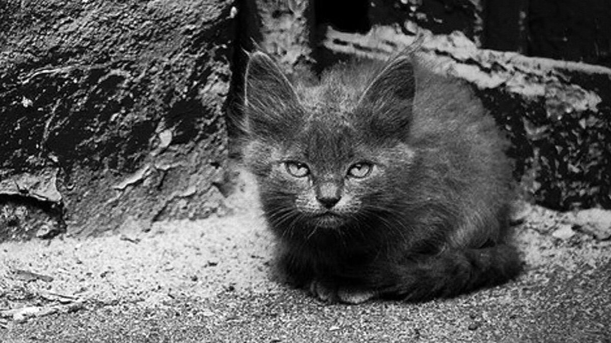 источник фото: kartinkin.net