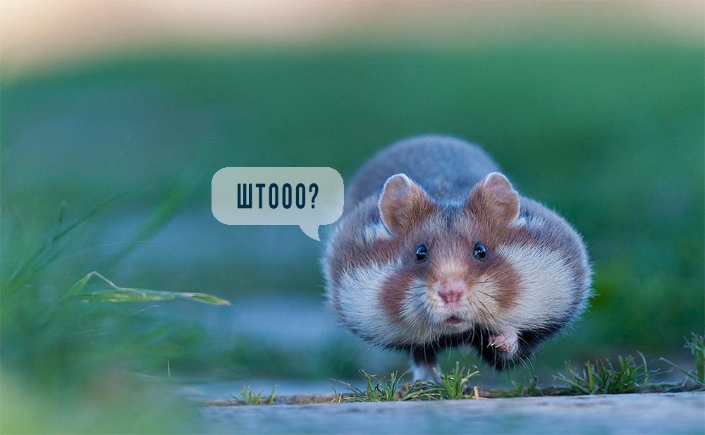 Предприниматель подключил 150 кВт