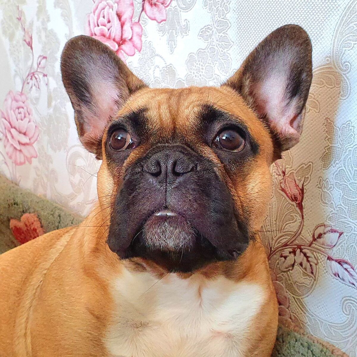 Фото из личного архива