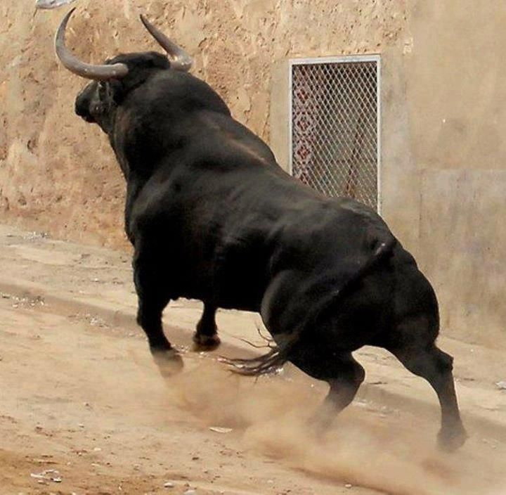 Яндекс.Картинки.