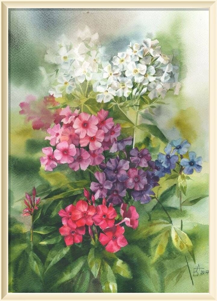  13. � ��������� �������� ��������