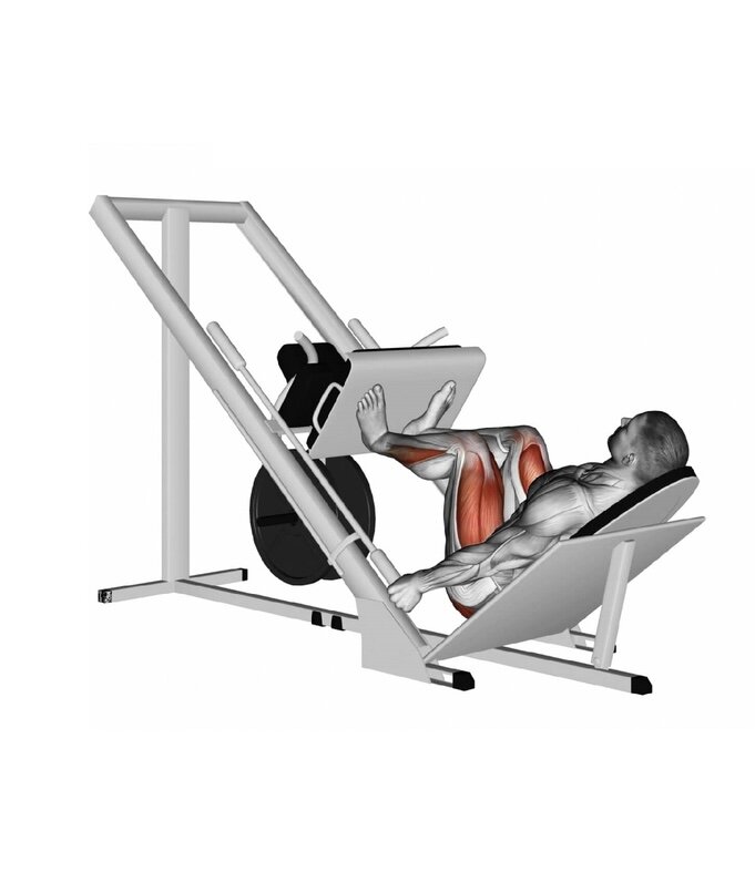 Жим ногами для девушек. Жим платформы ногами. Жим ногами FPL-2300. Жим платформы ногами техника. Жим платформы ногами гиф