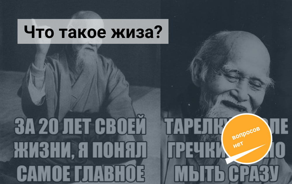 Что такое жиза