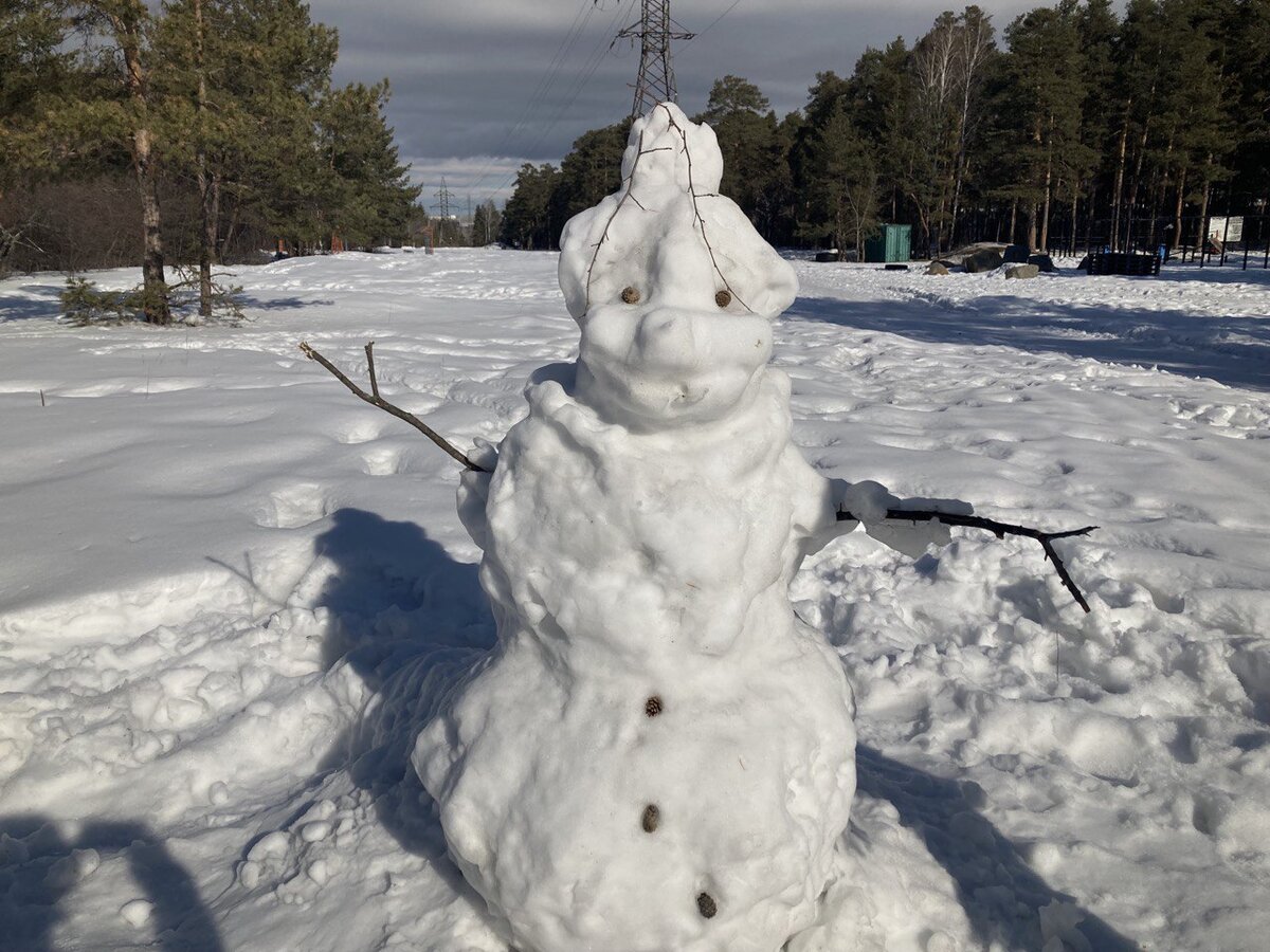 Увидели в лесу