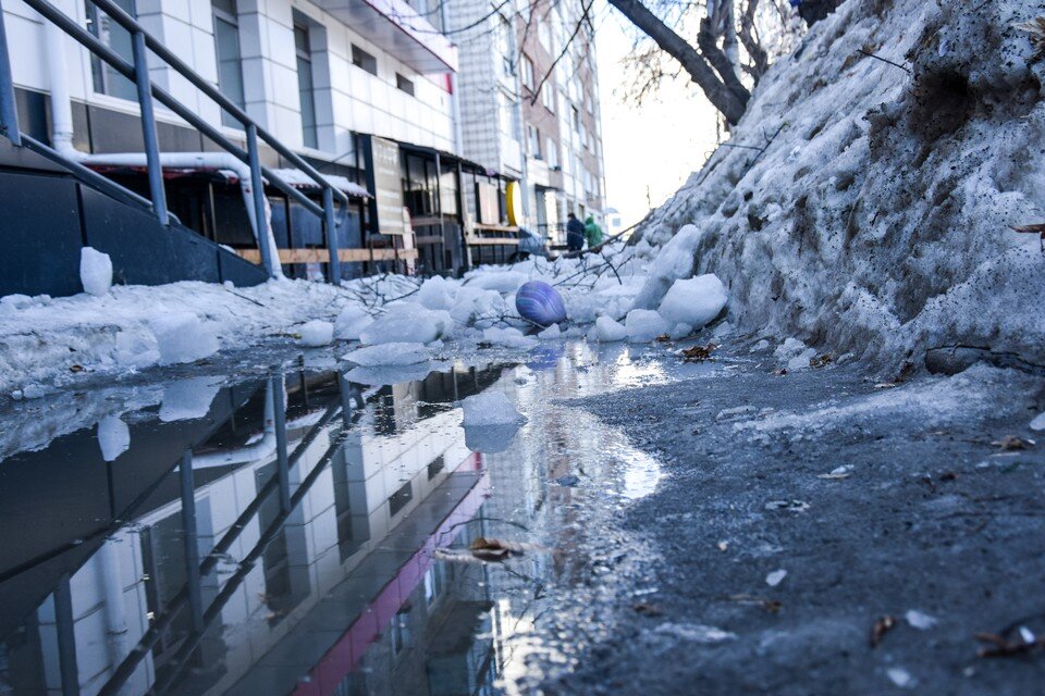     Днем в городе будет тепло, а ночью - холодно. Алена МАРТЫНОВА, КП-Новосибирск