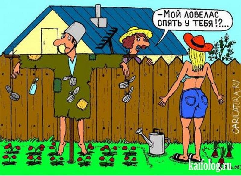 Картинка из просторов. 