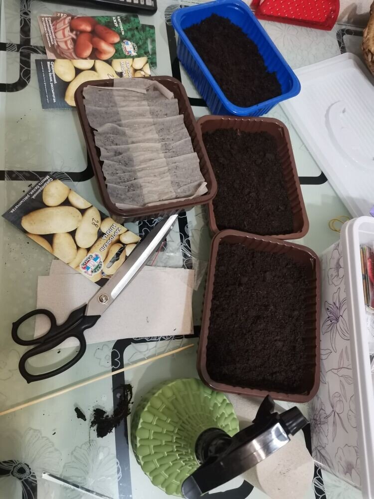 Всё что нам нужно для посадки картофеля.