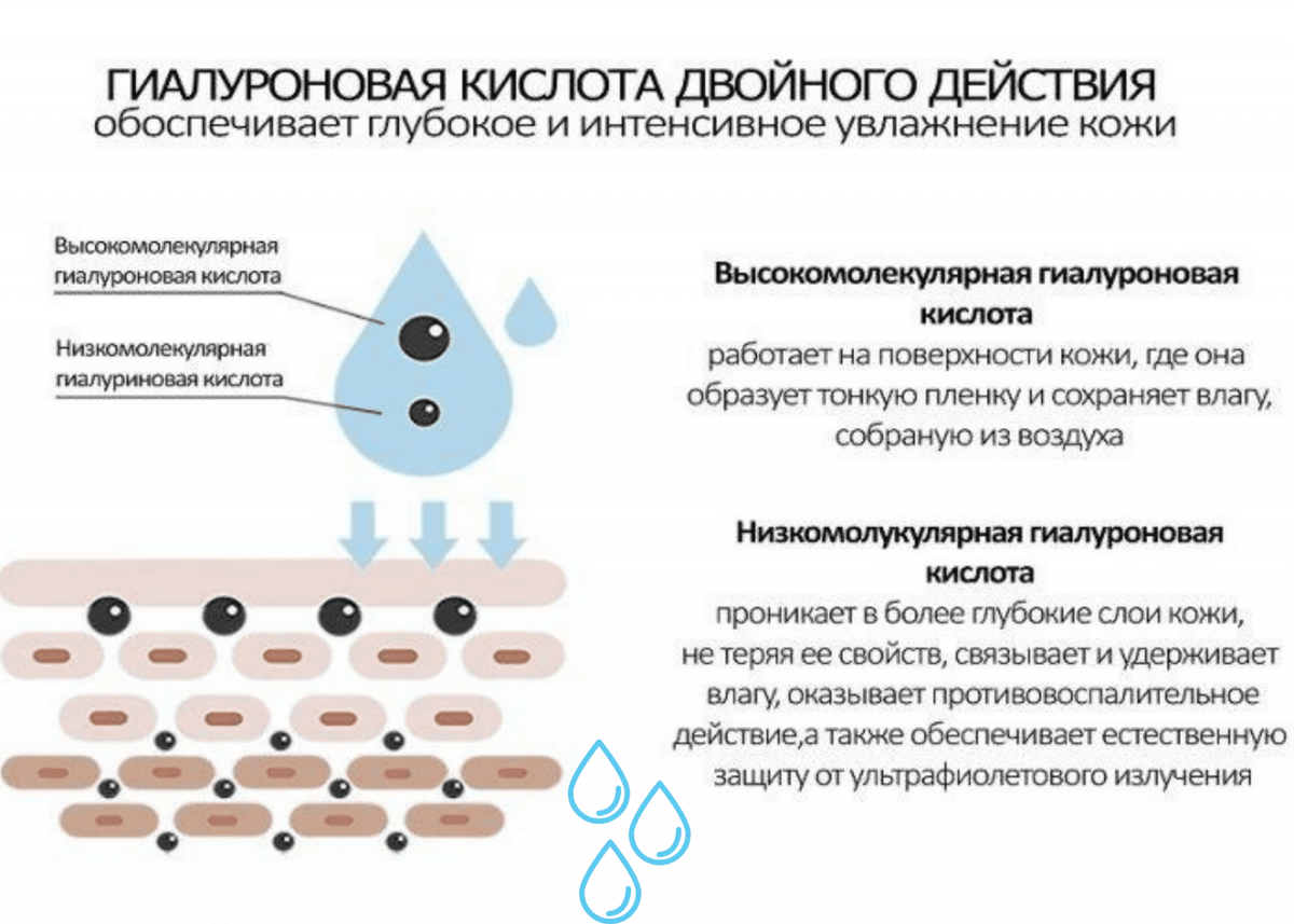 Клетки гиалуроновой кислоты