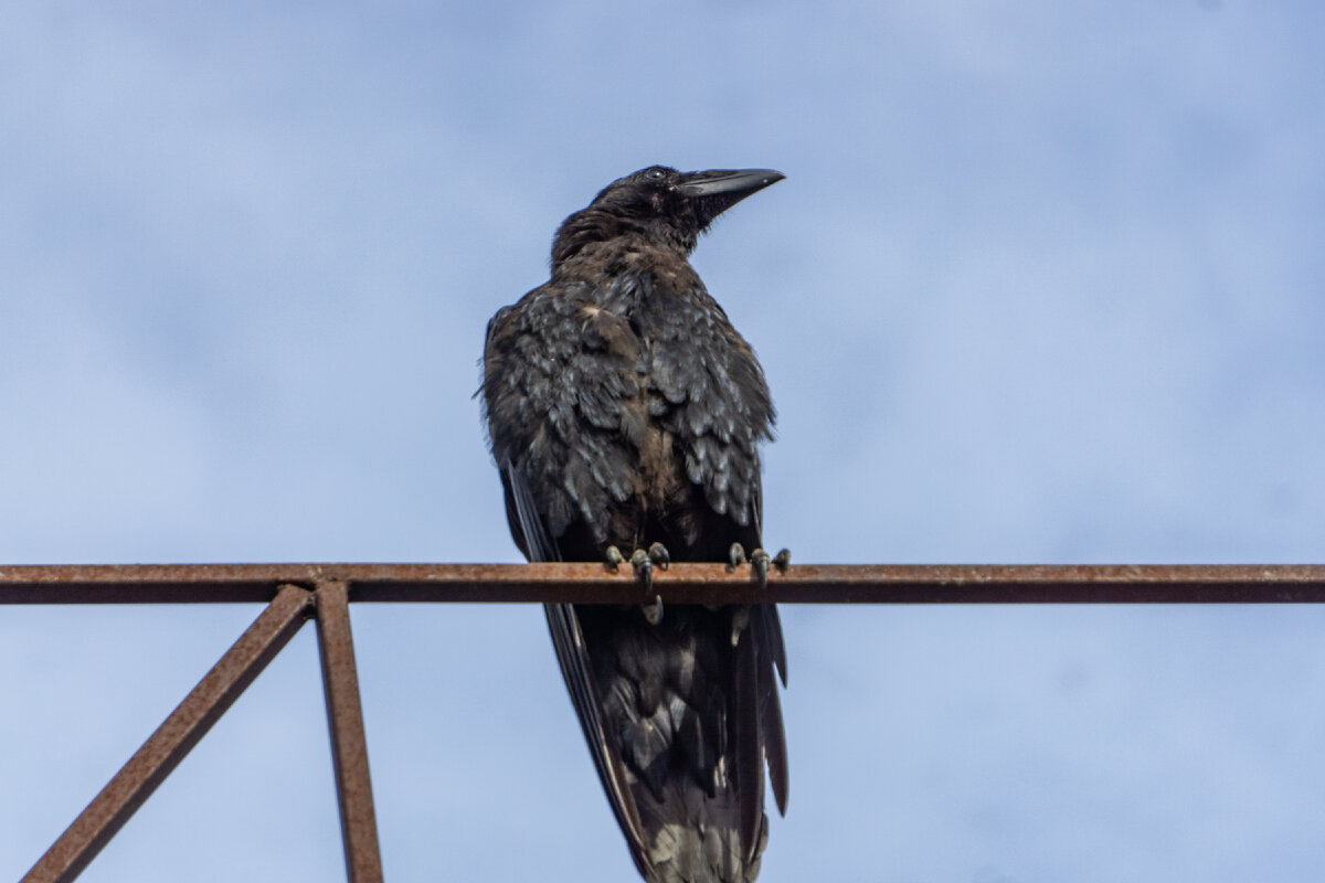 все фото из семейного архива