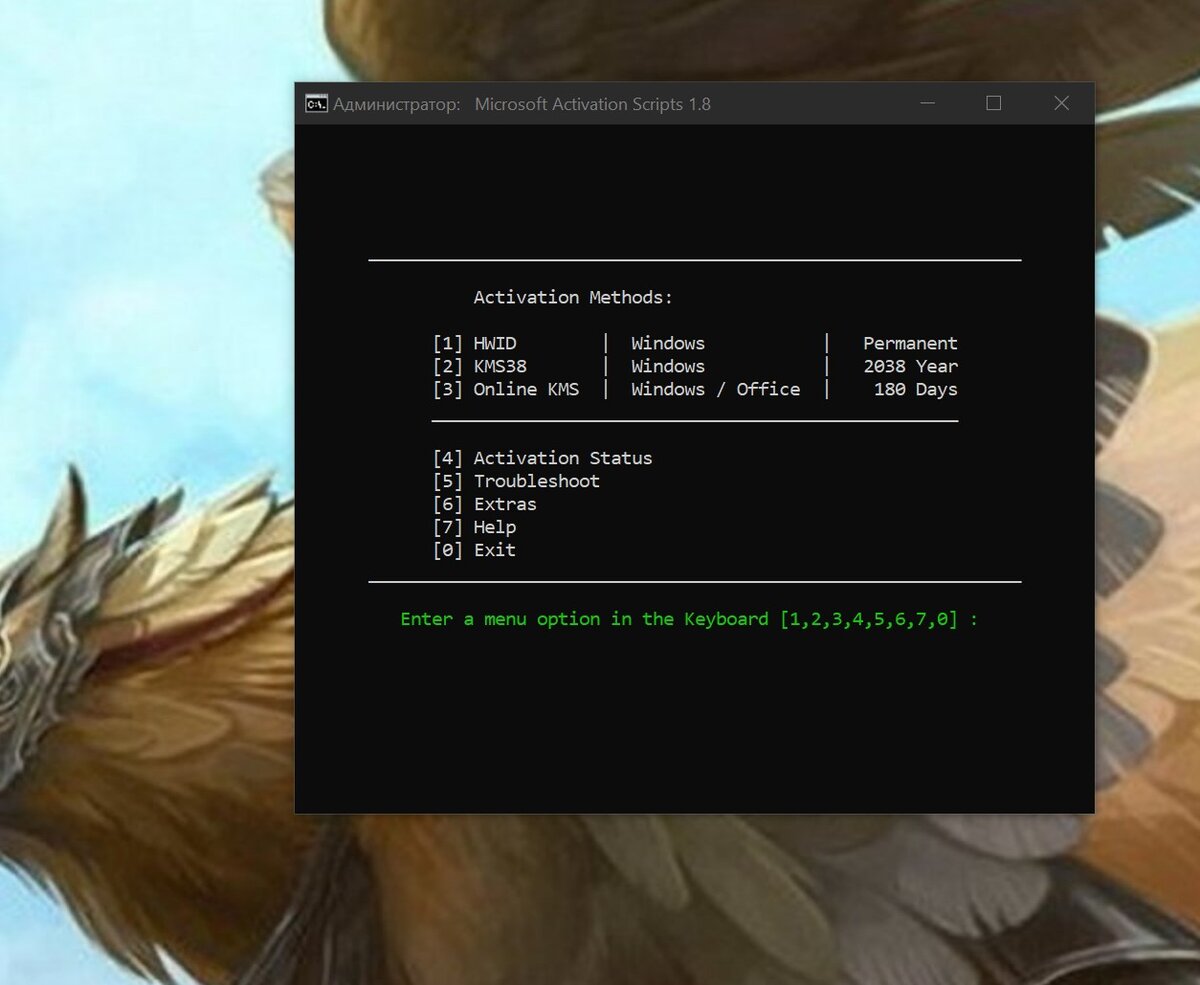 Окно activation scripts