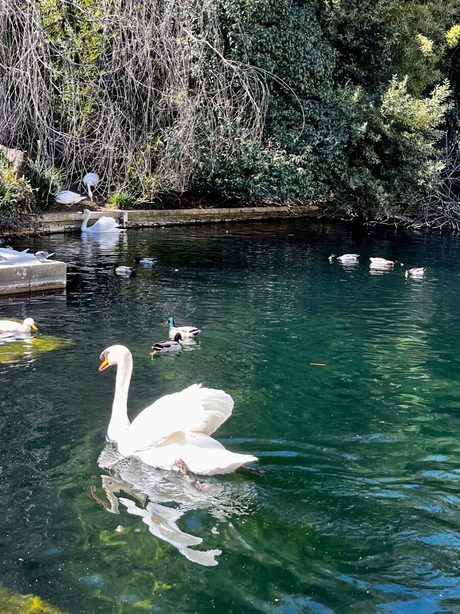 Сады источника, Ним, Франция