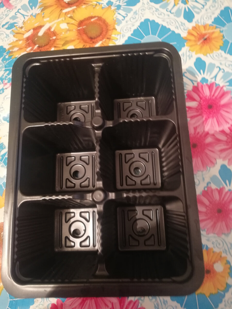 Они глубокие.