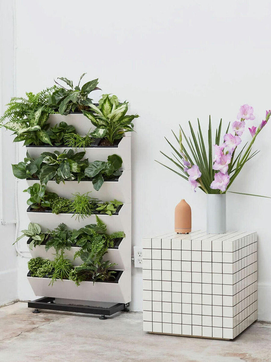 Фитомодуль