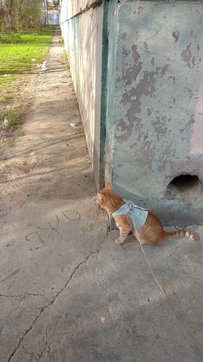 Личное  фото. 