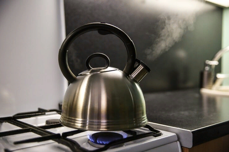 Умный чайник Viomi Smart Kettle Black