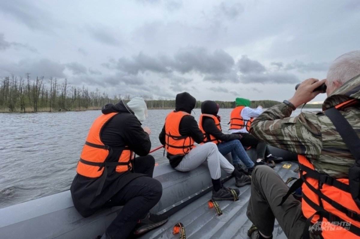    На байдарках или рафтах. Тестируем водные экскурсии в «Лосином острове»