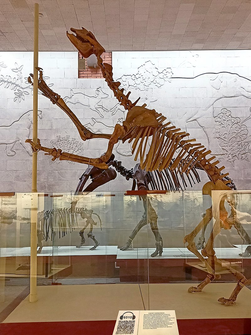 Борисякия в музее Орлова