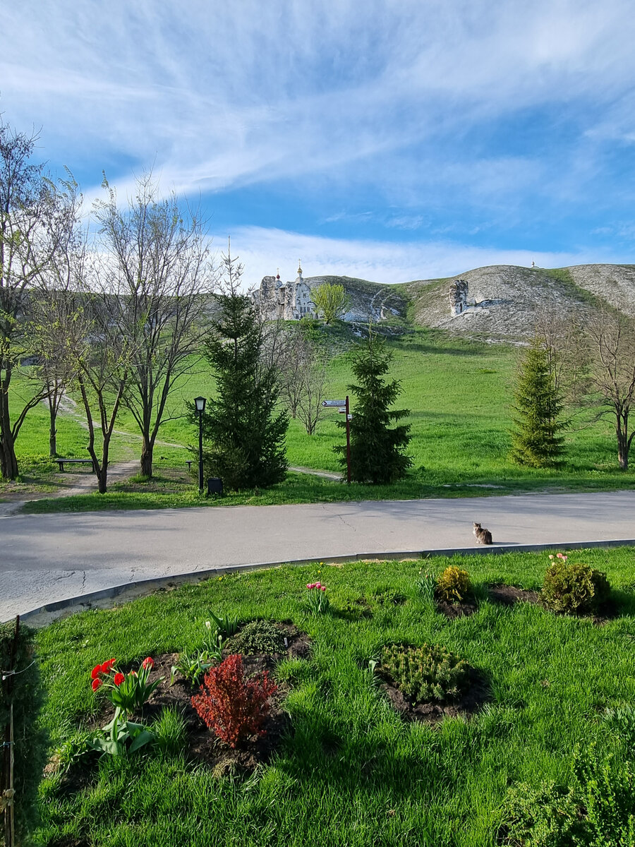 Виды на Спасский Собор с разных точек монастыря
