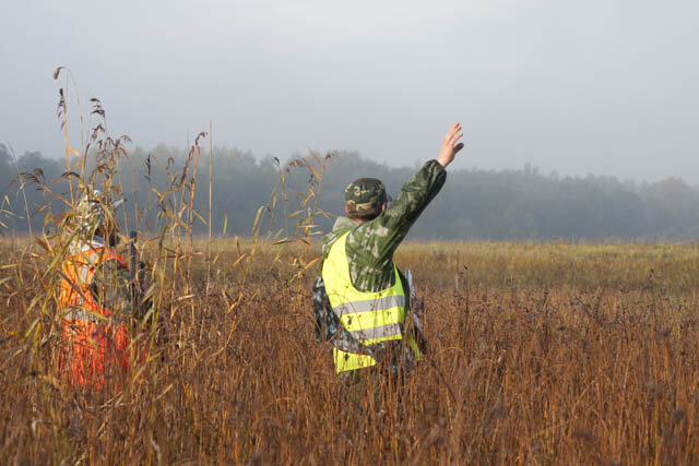 Команда "Стоять"