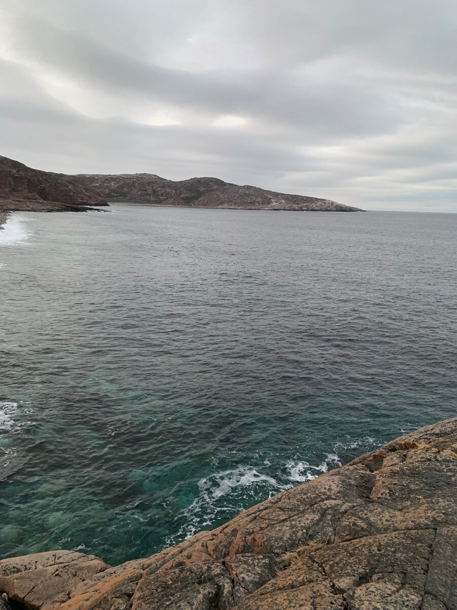 Баренцево море 