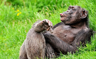 А он спит сколько душе угодно.