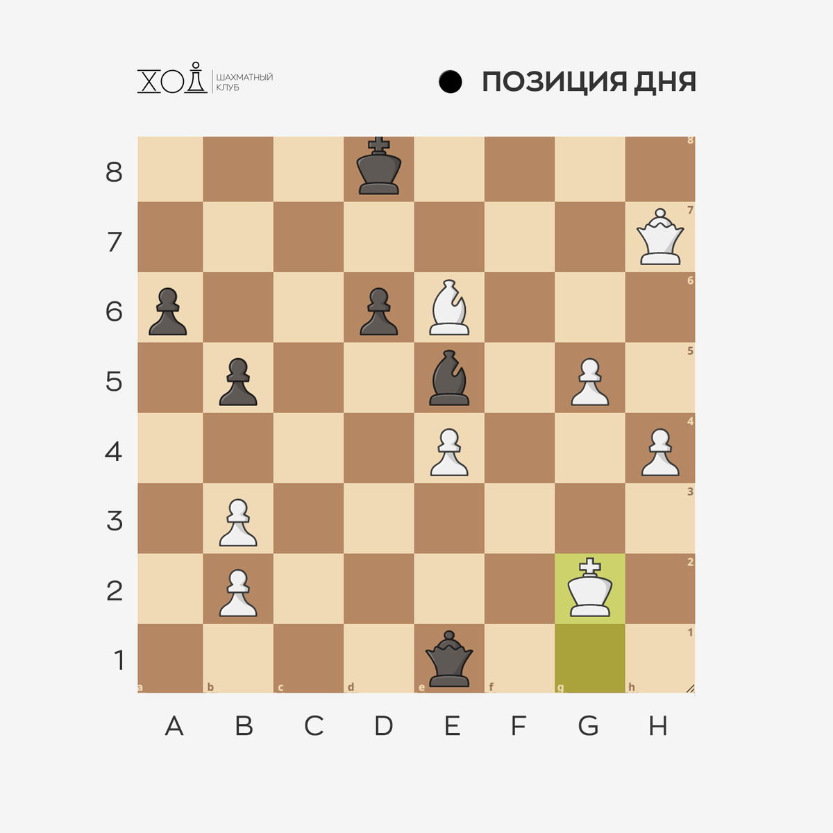 Поиграть в шахматы в Пятигорске