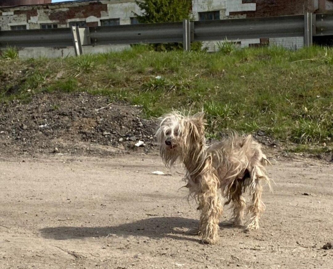 Пижама сэм зачем погоду не любить ее же можно починить