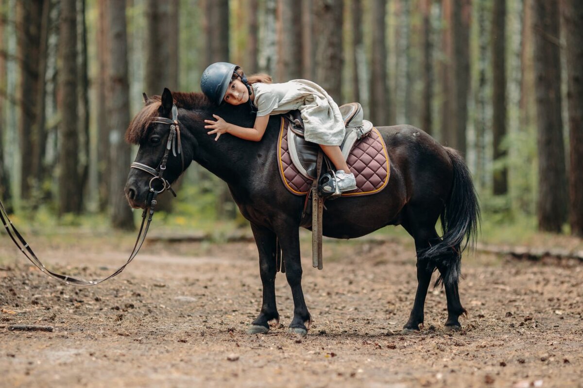 Конные прогулки в лесу