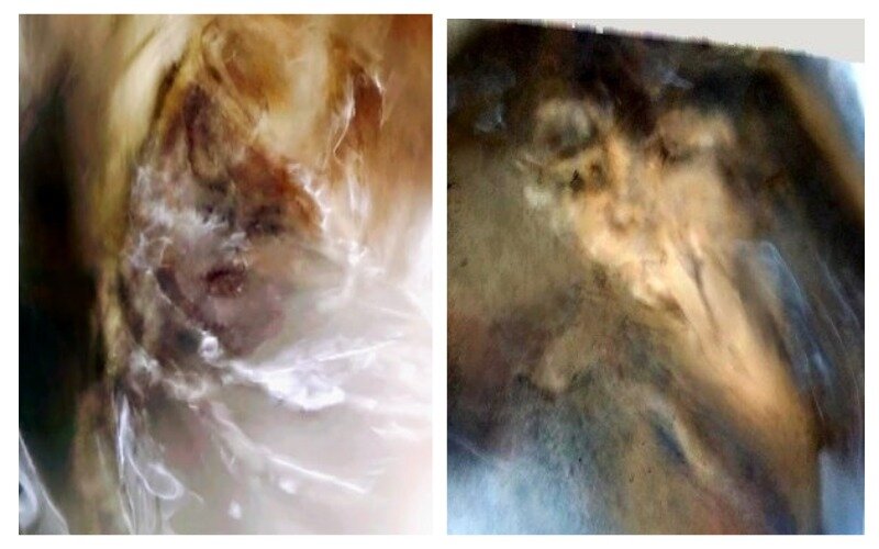 Фото тонкого мира Светланы Небольсиной