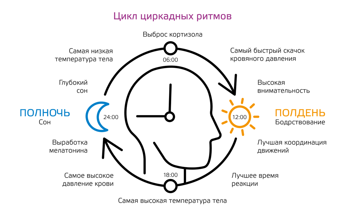 Биоритм зрения. Биоритмы. Примеры месячных биоритмов. Биоритм. Месячные биоритмы.