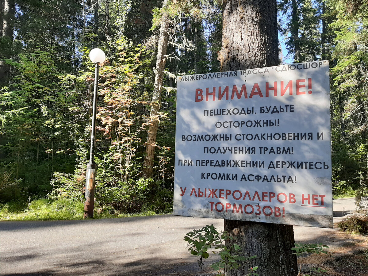 Таблички в лесу.