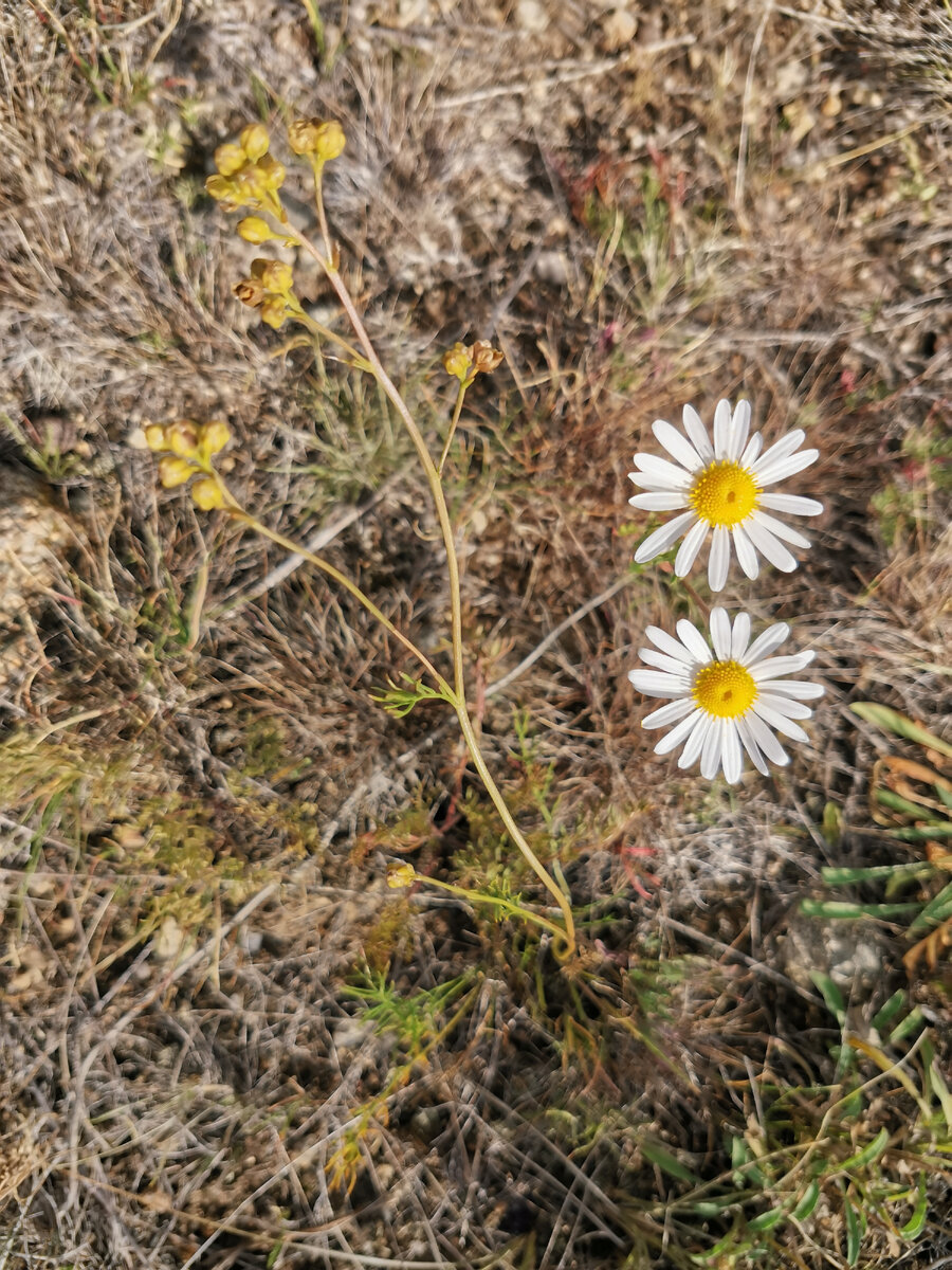 Моей Сене 9 лет, и она смелая, яркая и открытая. И настолько щедрая, что я восхищаюсь этой ее чертой даже в мелочах. 