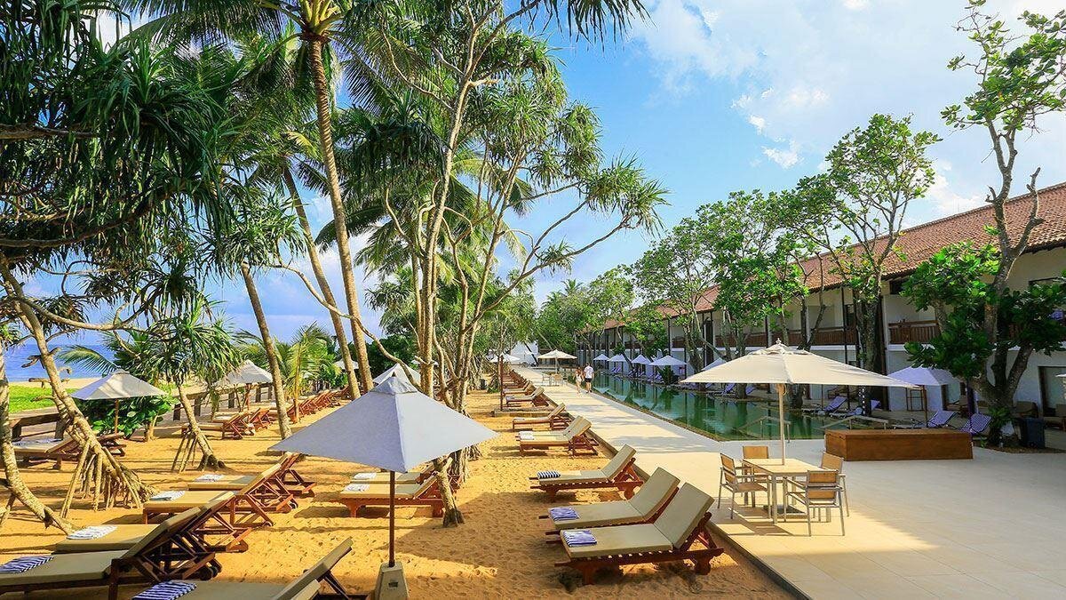Аралия отель шри. Индурува Шри Ланка. Pandanus Шри Ланка. Pandanus Beach 4 Шри Ланка. Pandanus Beach Resort & Spa 4*.