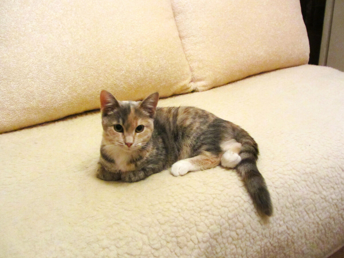 Фенечка 2021 год.