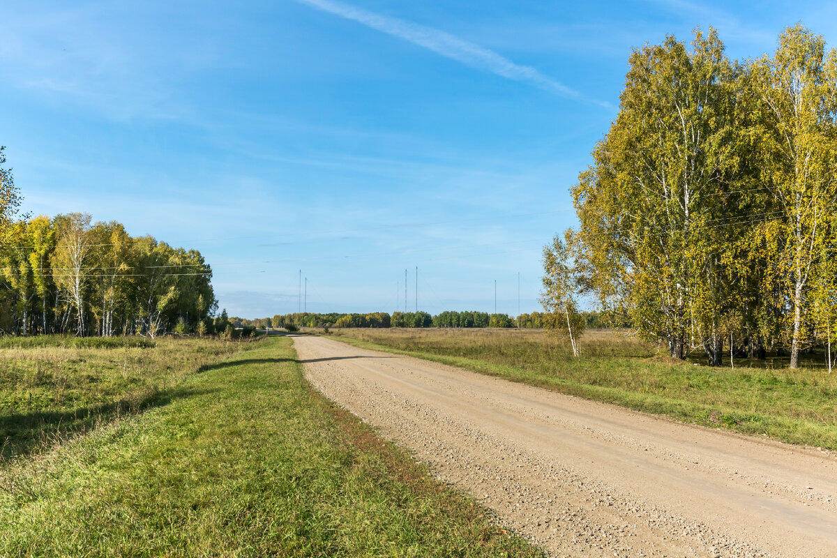 Дорога из города Болотное в село Турнаево
