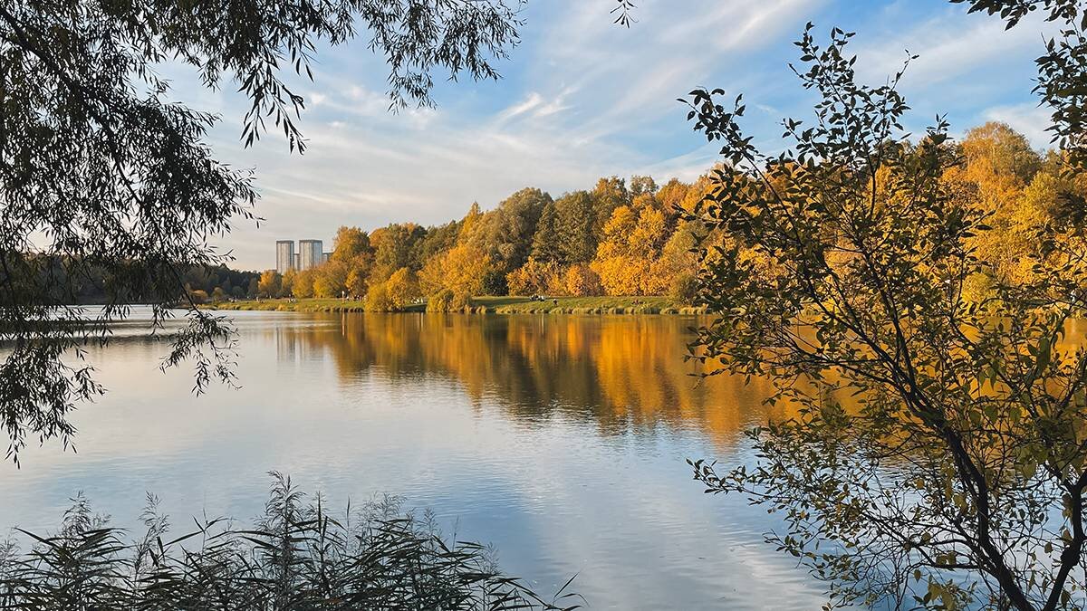   Фото: Екатерина Алексеева / Вечерняя Москва